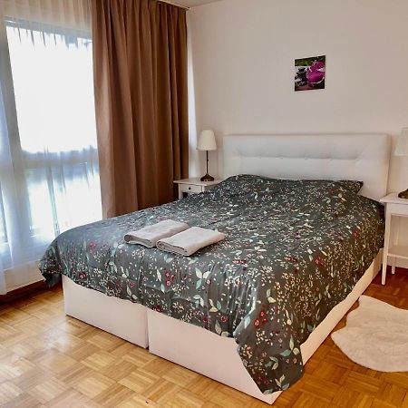 Comfort Appartment 2 Schafzimmer 巴塞尔 外观 照片