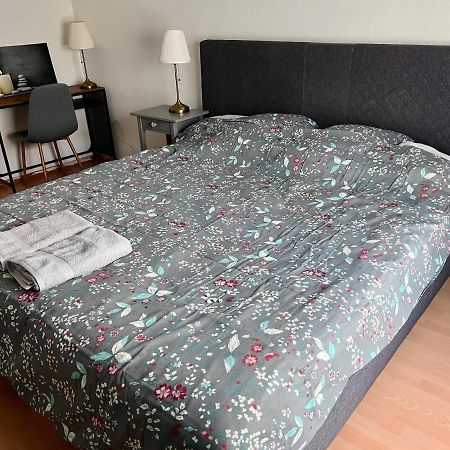 Comfort Appartment 2 Schafzimmer 巴塞尔 外观 照片