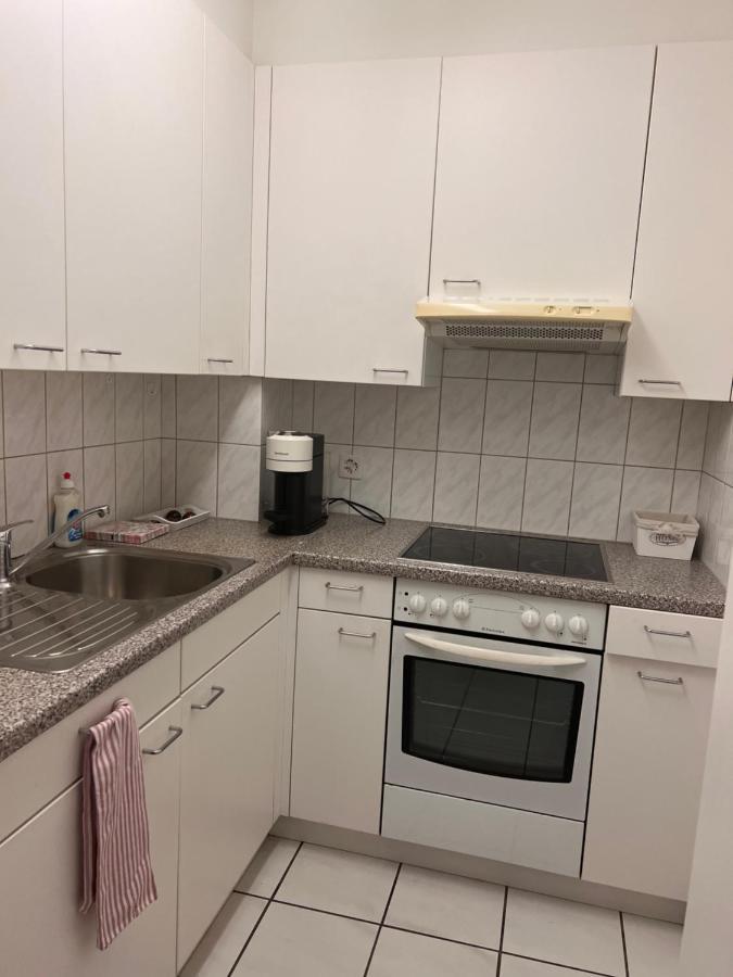 Comfort Appartment 2 Schafzimmer 巴塞尔 外观 照片